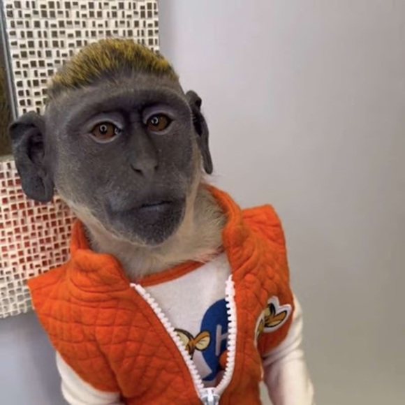 Meet your Posher, Dat1g_uy - Picture 1 of 1